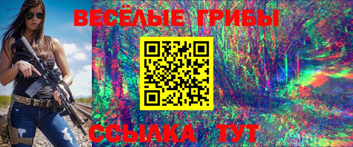 Сосновоборск  Галлюциногенные грибы MAGIC MUSHROOMS  Вход с VPN 